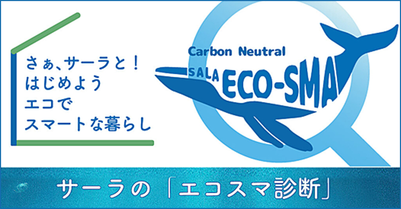 サーラの「エコスマ診断」画像