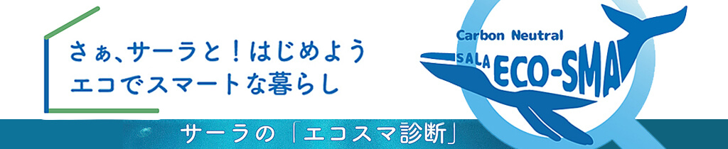 サーラの「エコスマ診断」