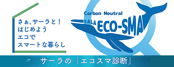 サーラの「エコスマ診断」